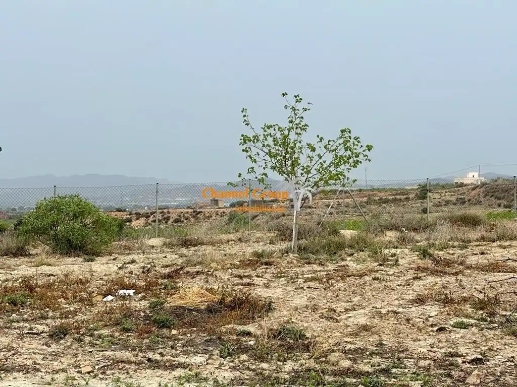 Finca rústica en venta en Novelda