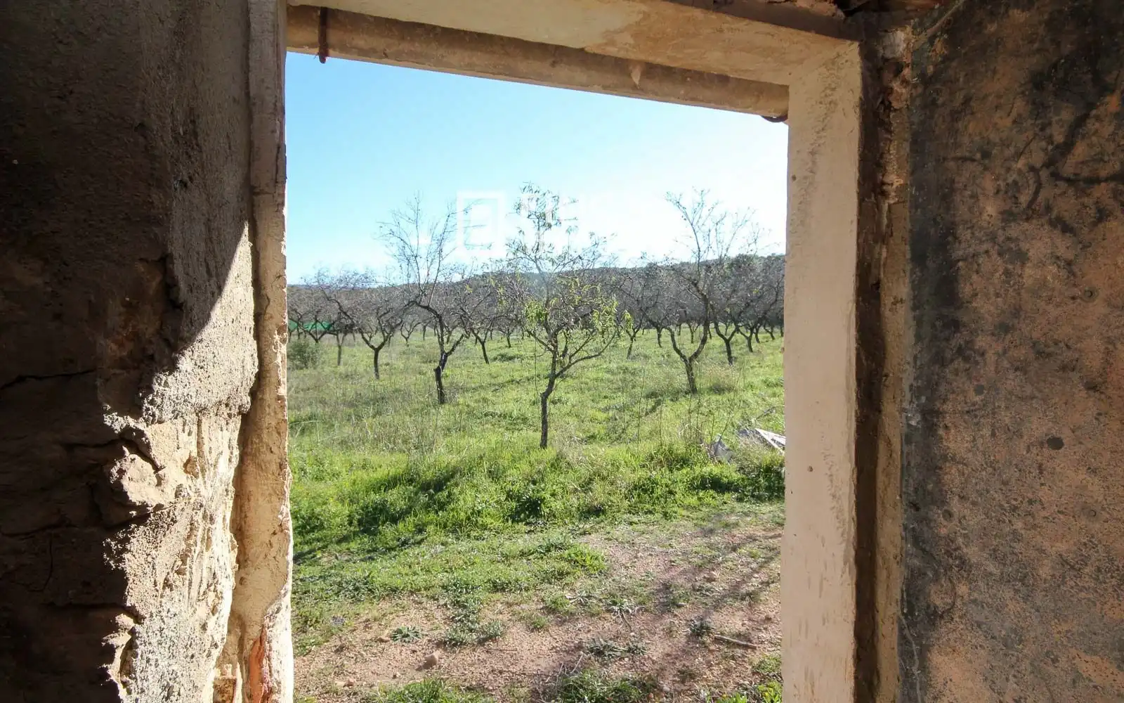 Finca rústica en venta en Miravet