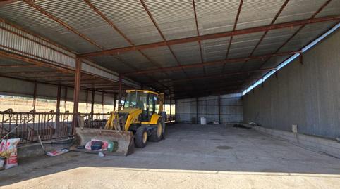 Foto 4 de Finca rústica en venda a El Guijo, Córdoba