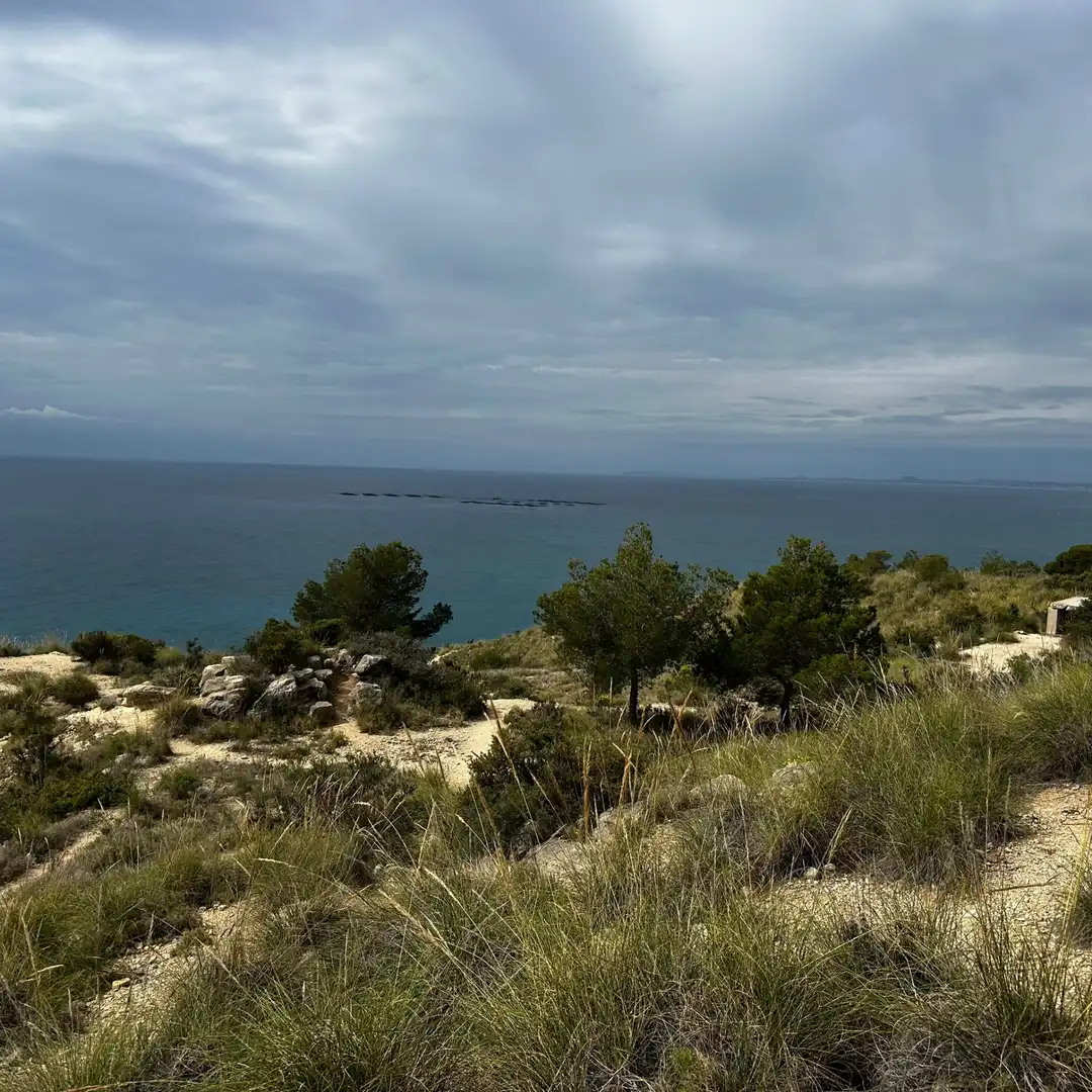 Fabrik Grundstücke zum Verkauf in Villajoyosa / La Vila Joiosa