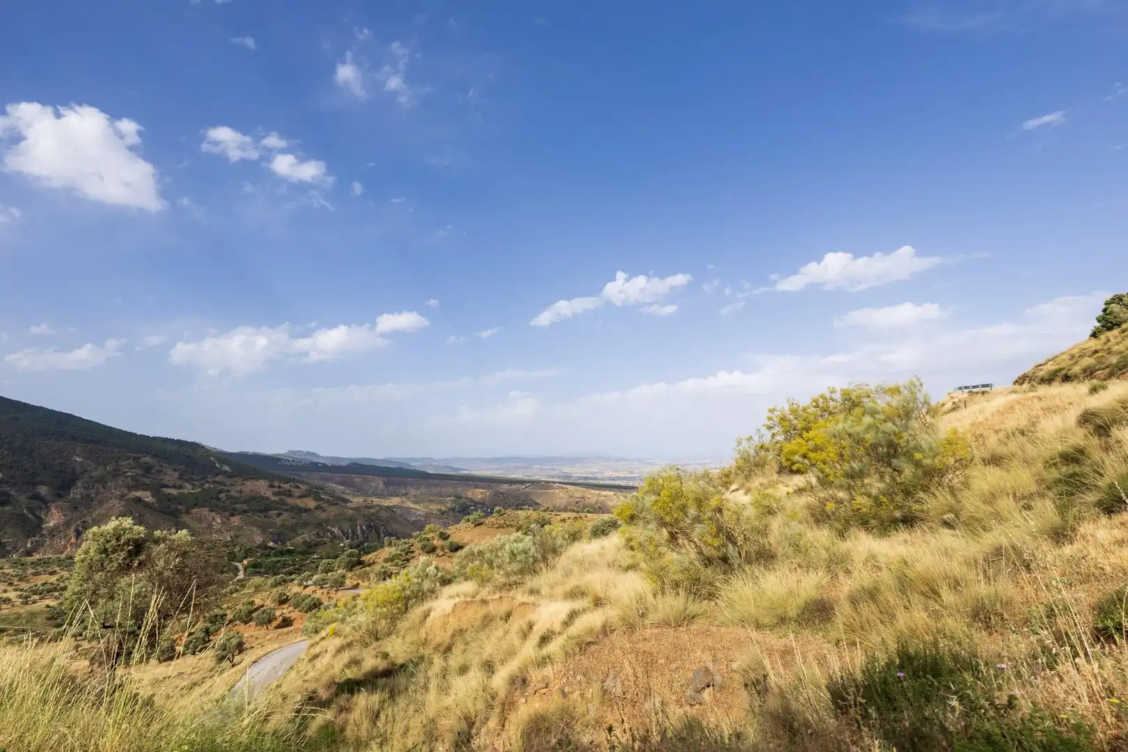 Terreno rústico en venta en Zona alta, imagen 7