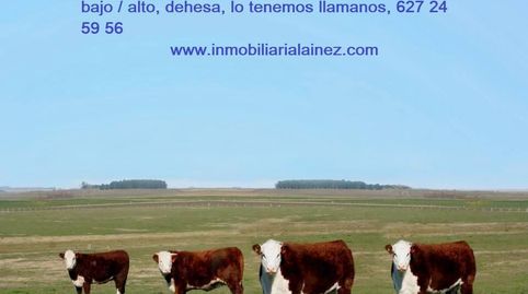 Foto 4 de Residencial en venta en San Roque - Ronda Norte, Badajoz Capital