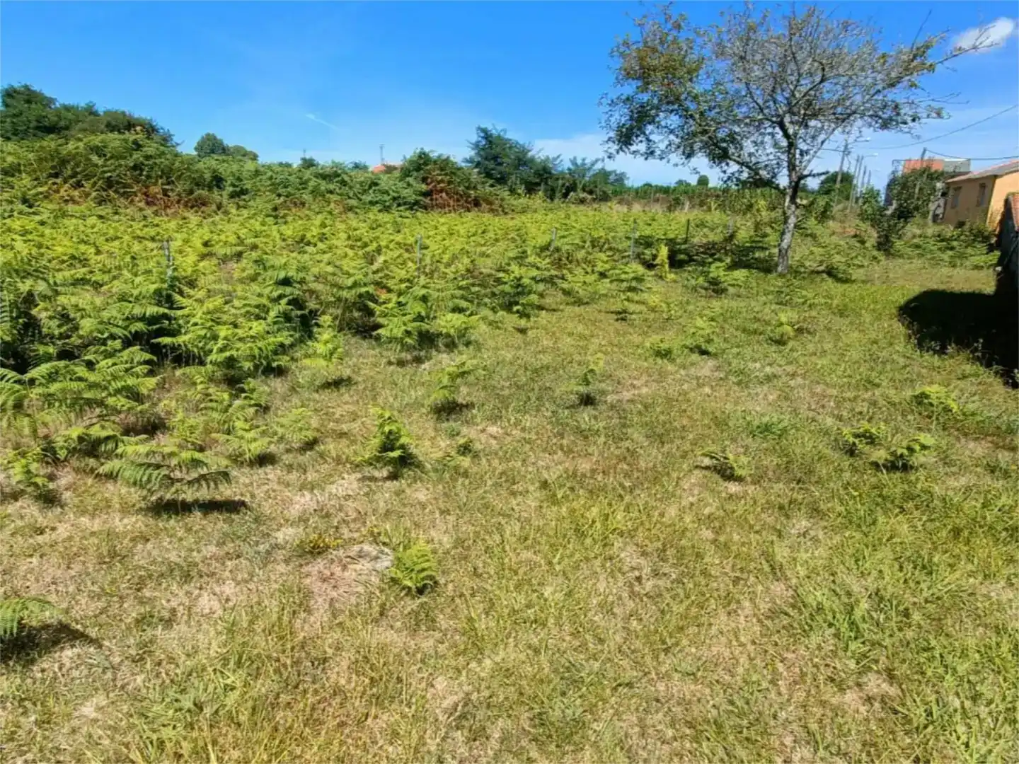 Terreno en venta en Mugardos, A Coruña