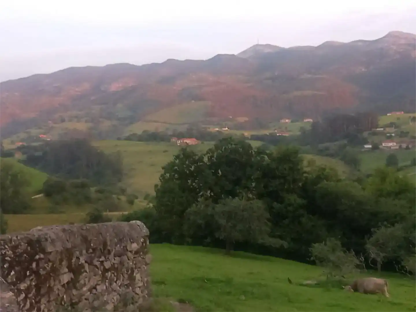 Vista exterior de Pis en venda en Llanes amb Parquet, Moblat i Balcó