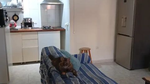 Foto 5 de Casa adosada en venda a Parque del Sil, 35, San Fulgencio, Alicante