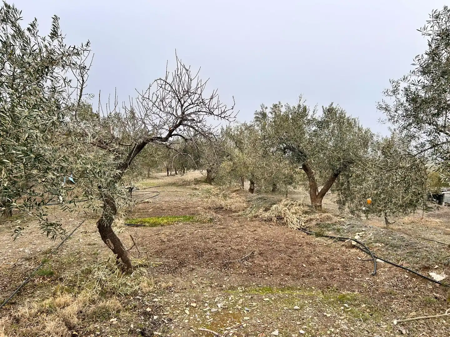 Finca rústica en venda en Abrucena