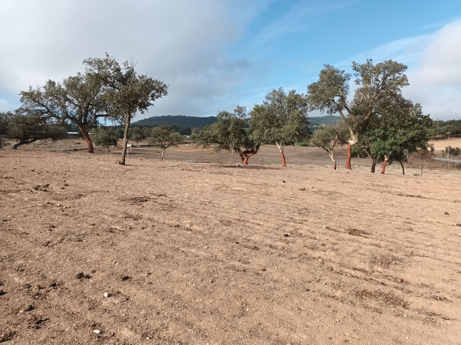 Residencial en venda en La Codosera