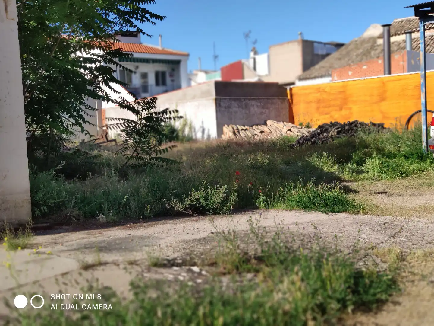 Terreny residencial en venda a Calle Maestro Don Hermógenes Rodríguez 20, imagen 8