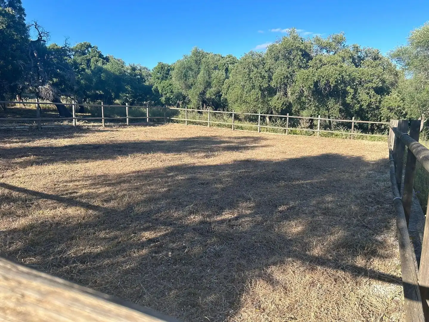 Finca rústica en venta en Alcalá de los Gazules
