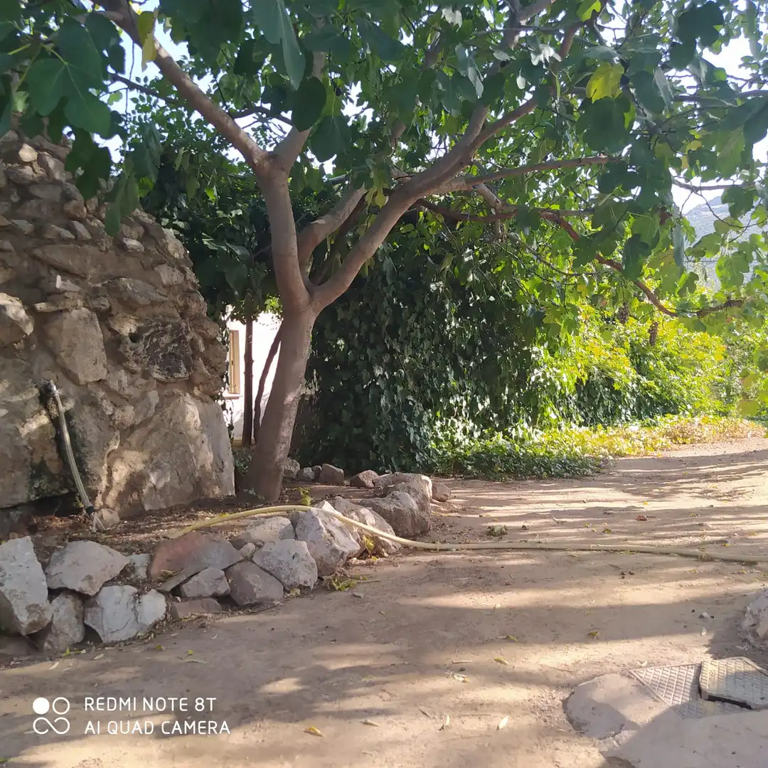 Chalet con jardín en venta en Malagón, imagen 24