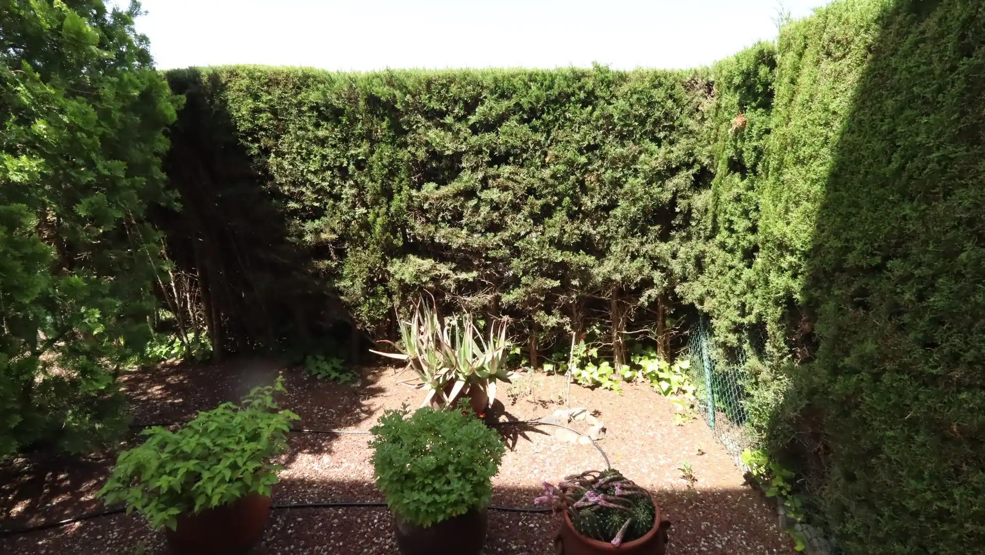 Jardí de Planta baixa en venda en Llançà amb Aire condicionat, Terrassa i Moblat