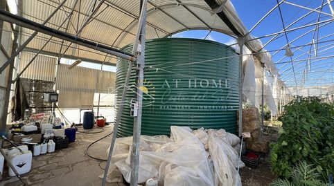4.600 M2 DE INVERNADERO, imatge 4