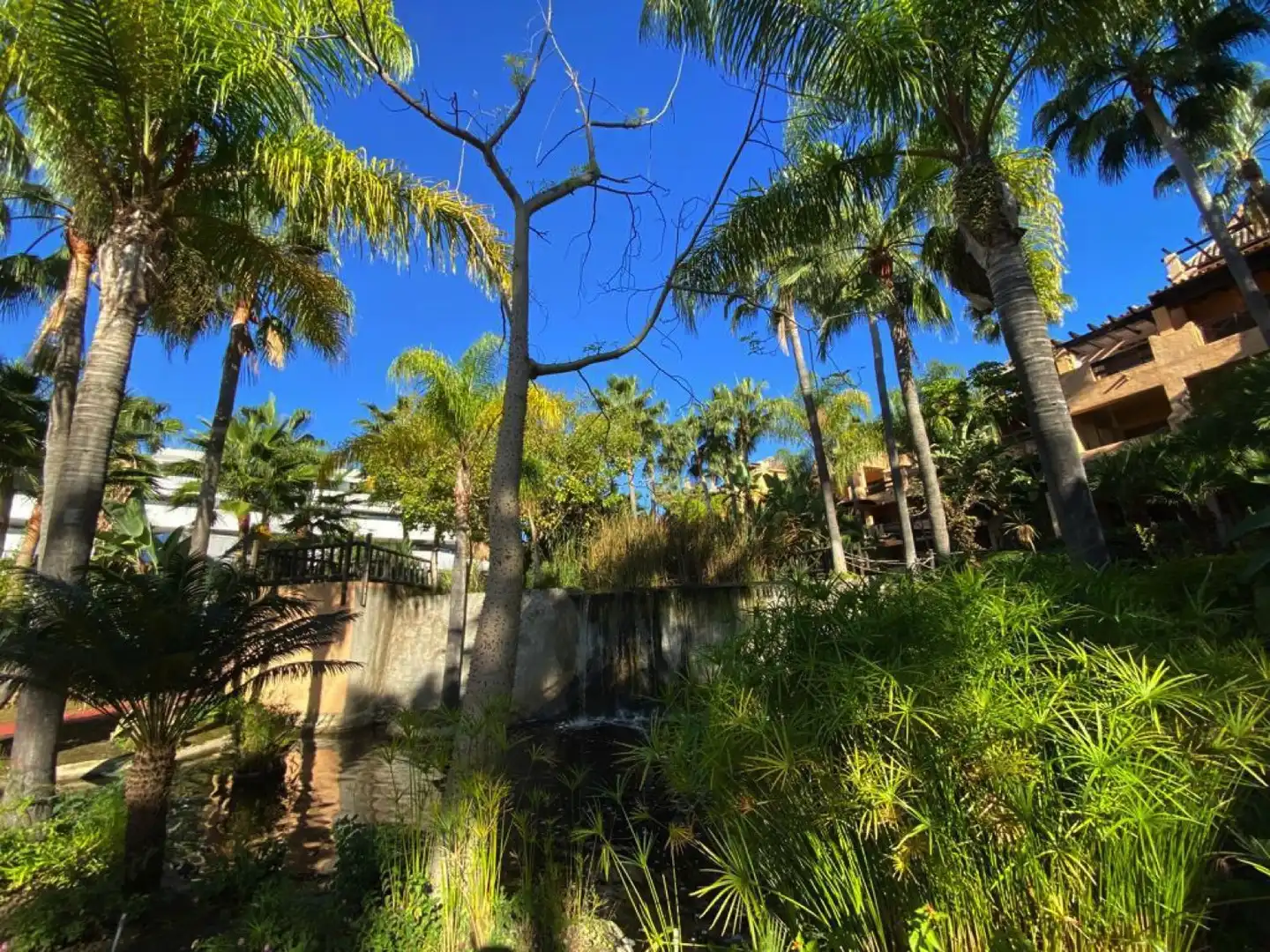 Habitatge amb piscina en venda a Benamara - Atalaya, imagen 22