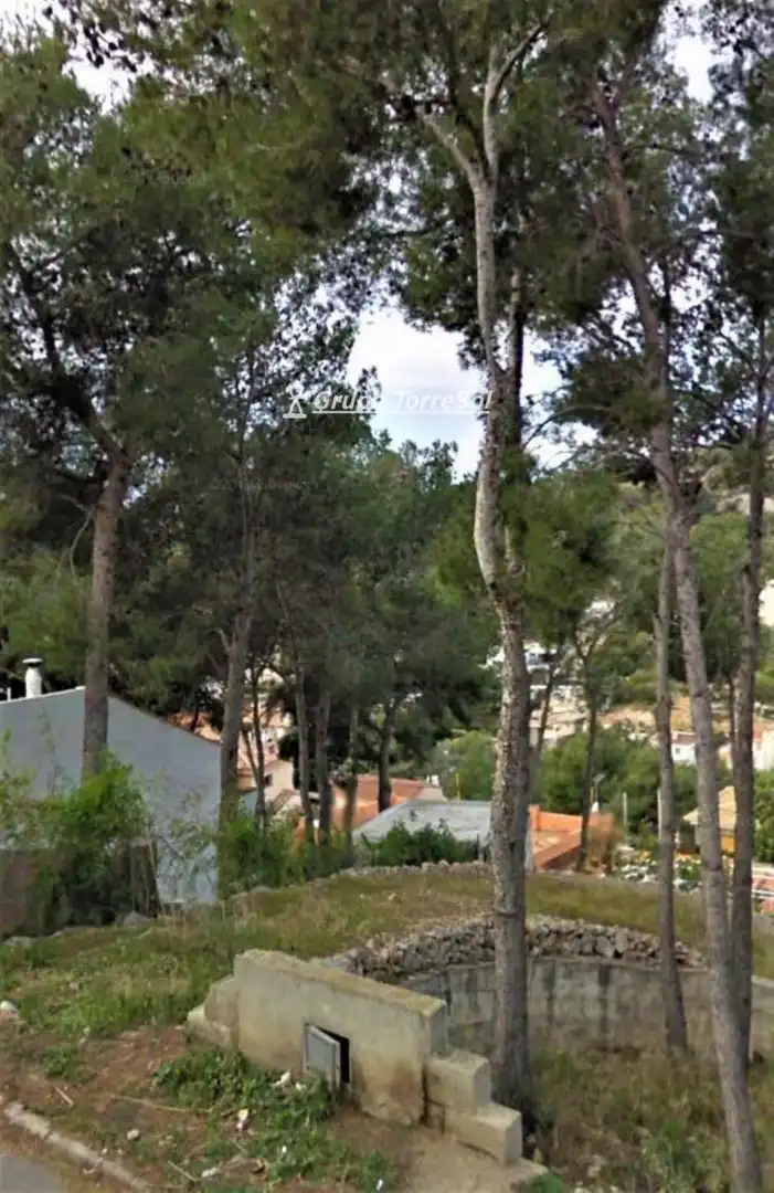 Terrain rustique à vendre à el Greco, imagen 5