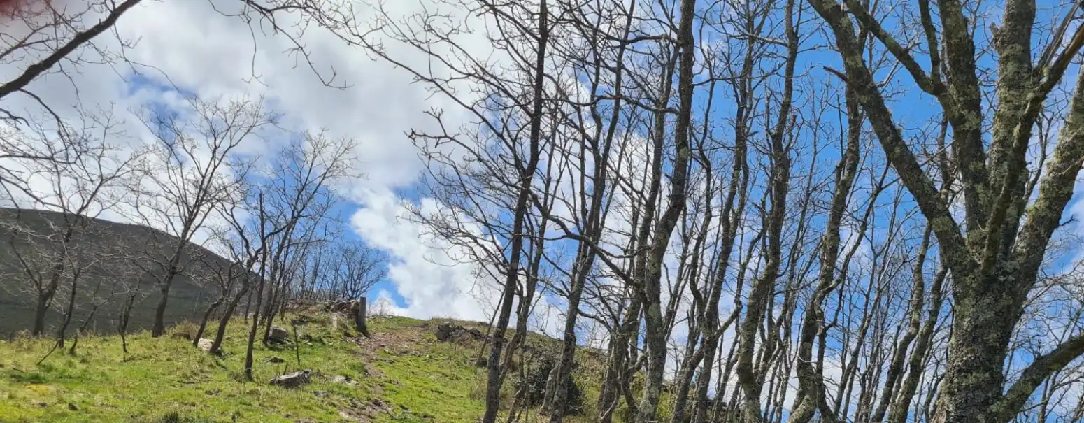 Vista exterior de Casa o xalet en venda en Rionansa amb Jardí privat