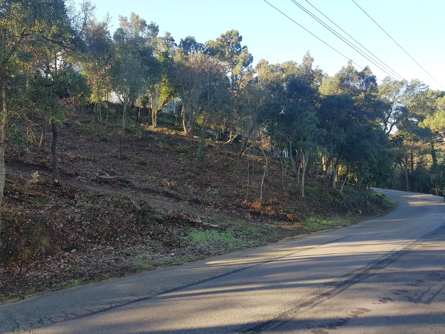 Terreno residencial en venta en Carrer del Pi Ric, imagen 3