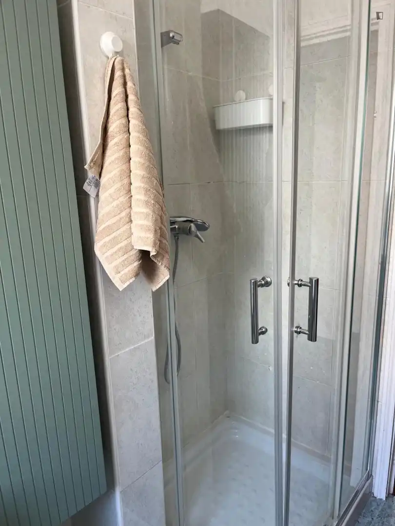 Bany de Apartament per a compartir en Milagrosa