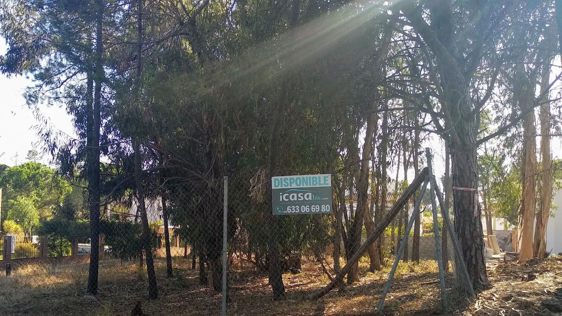 Terrenys i solars en venda a LAS PALMERITAS