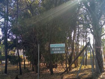 Terreni e lotti in vendita a LAS PALMERITAS