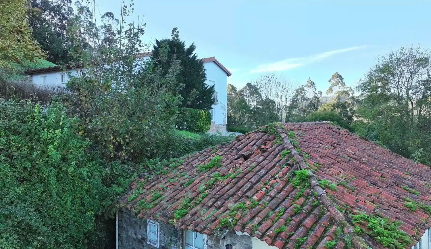 Casa o chalet en venta en Pravia