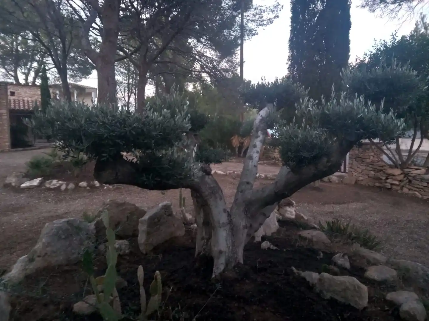 Jardín de Casa o chalet en venta en L'Ametlla de Mar  con Calefacción, Jardín privado y Terraza