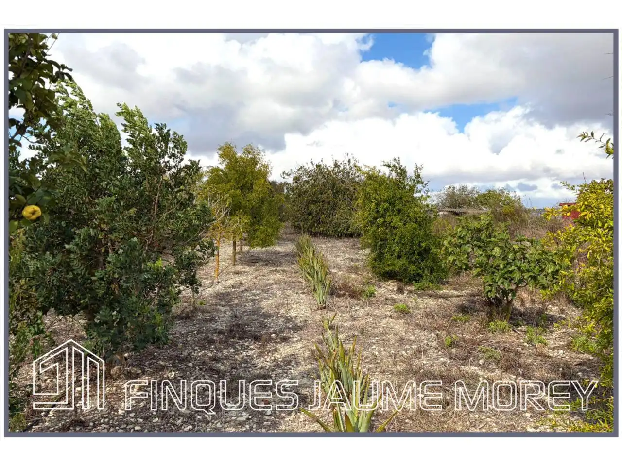 Finca rústica en venta en Maria de la Salut con Jardín privado