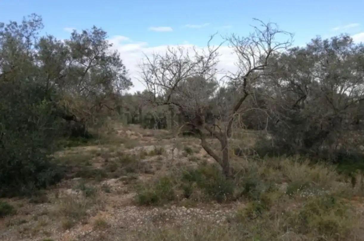 Residencial en venta en Polígono 9, San Rafael del Río