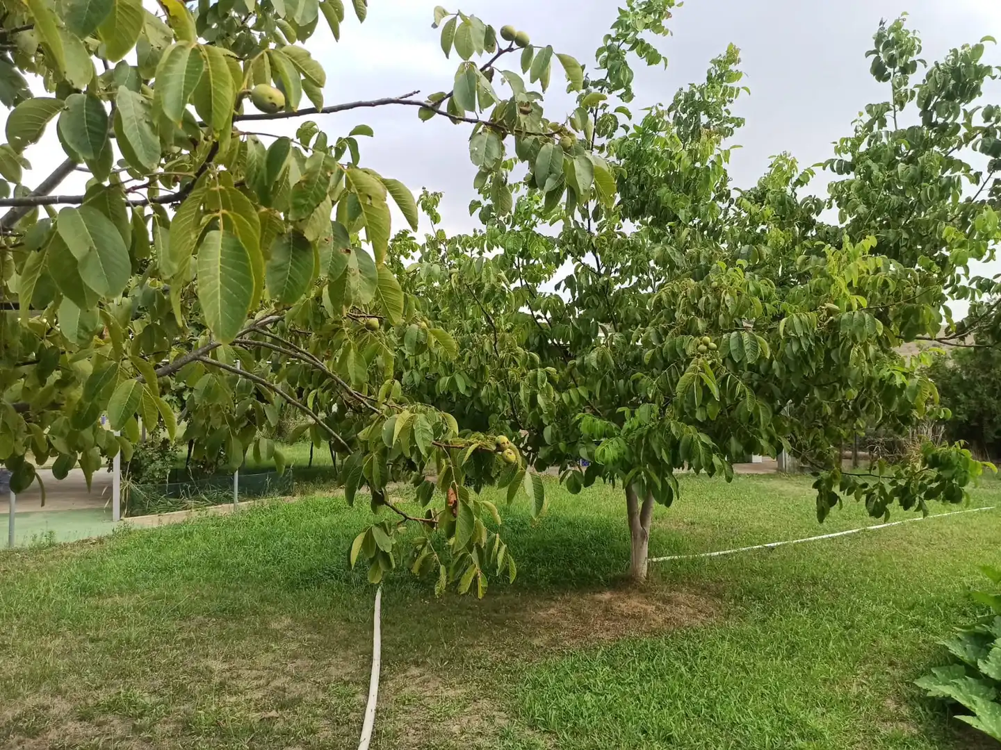 Terreno en venta en Viana
