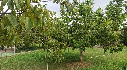 Foto 5 de Terreno en venta en Carretera Recajo, 8, Viana, Navarra
