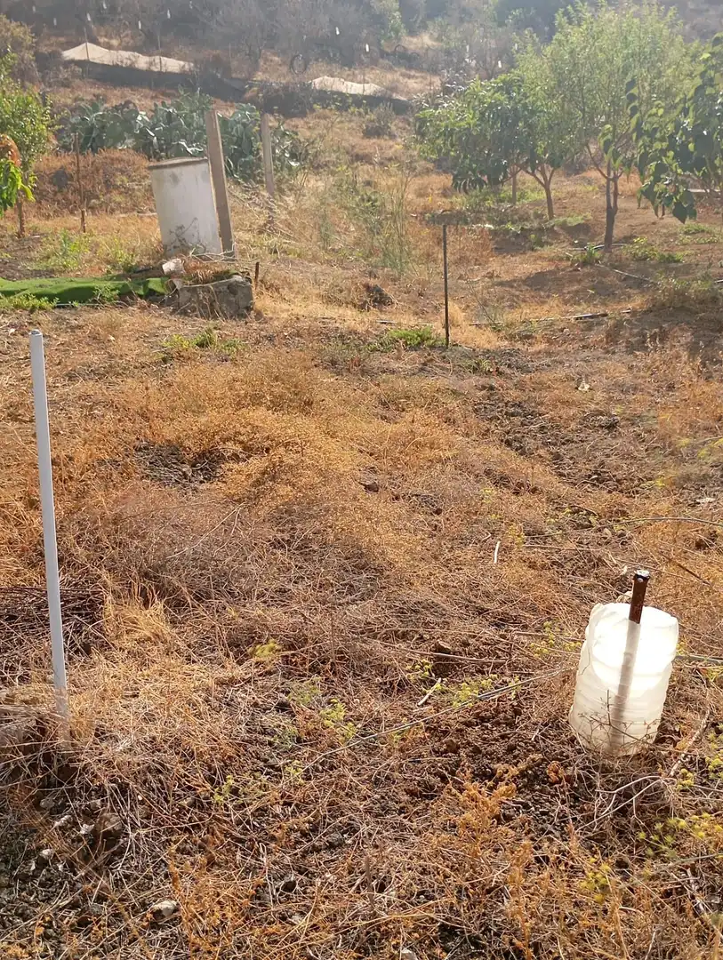 Rural land for sale in Calle GARABATO, imagen 14