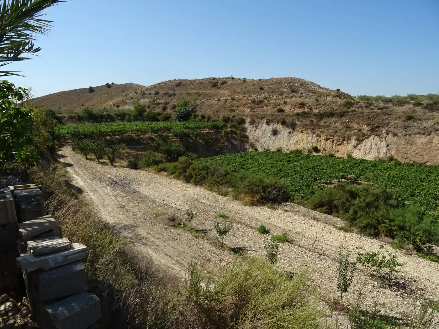 Casa o xalet en venda a Pedanías Este