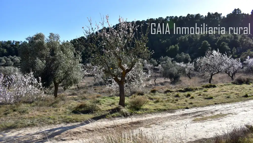 Casa rústica en venda a Maella, imagen 18