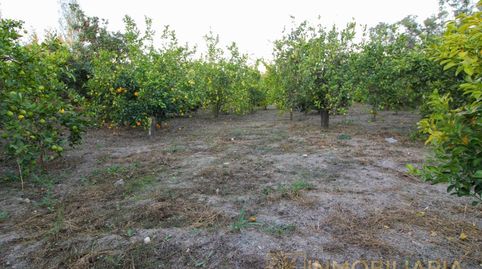 Se vende parcela con pequeña casa por Cortijo Benítez, image 5