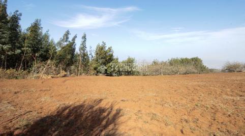 Foto 5 de Terreno en venta en La Esperanza - Llano del Moro, El Rosario