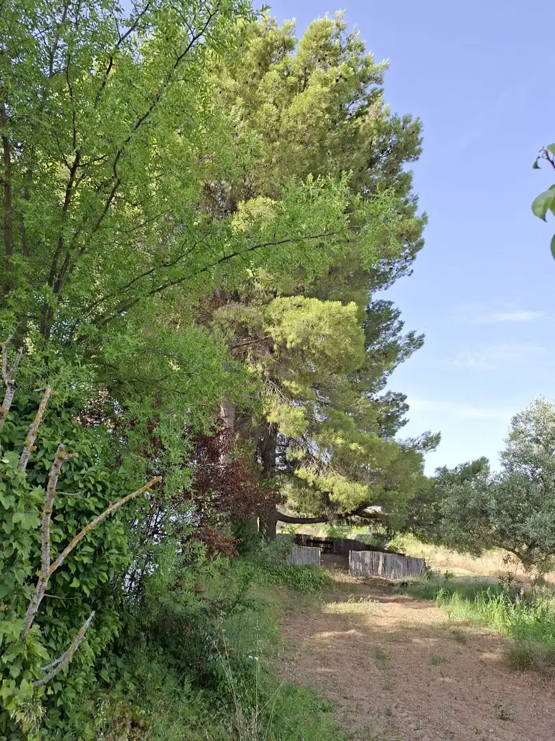 Garden of Country homes for sale in Caspe  with Private garden, Swimming Pool and Furnished