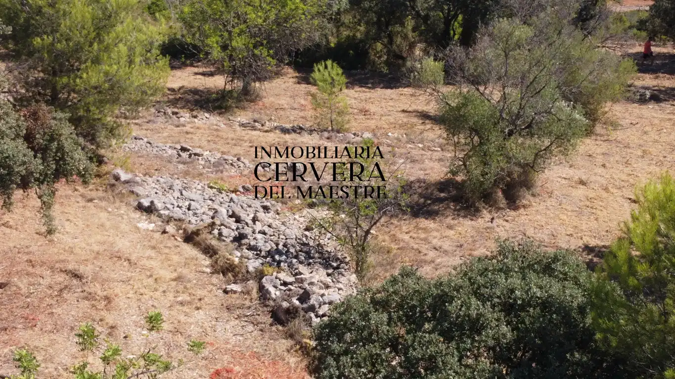 Terreno rustico in vendita a Cervera del Maestre, imagen 6