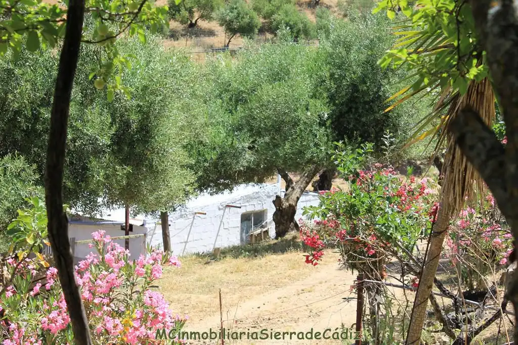 Casa rústica amb piscina en venda a N/A, imagen 53