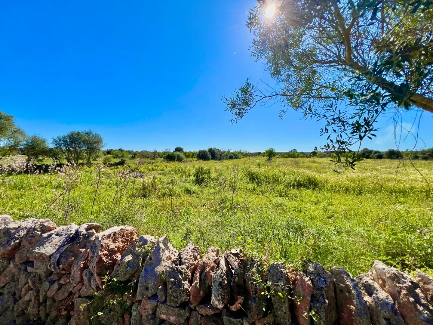 Residencial en venta en Santanyí
