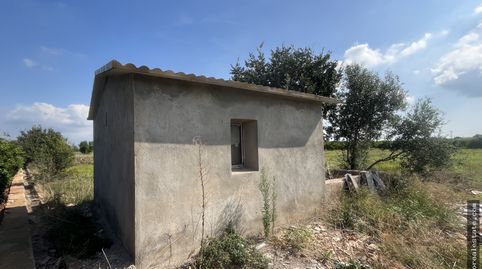 Foto 4 de Finca rústica en venta en Madrigal, Vila-real