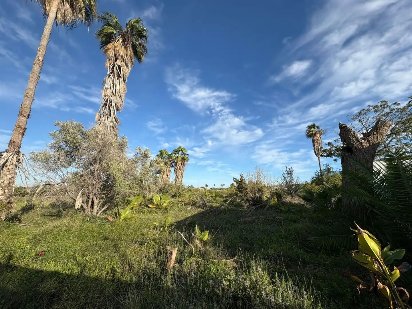 Finca rústica en venta en Sueca con Terraza