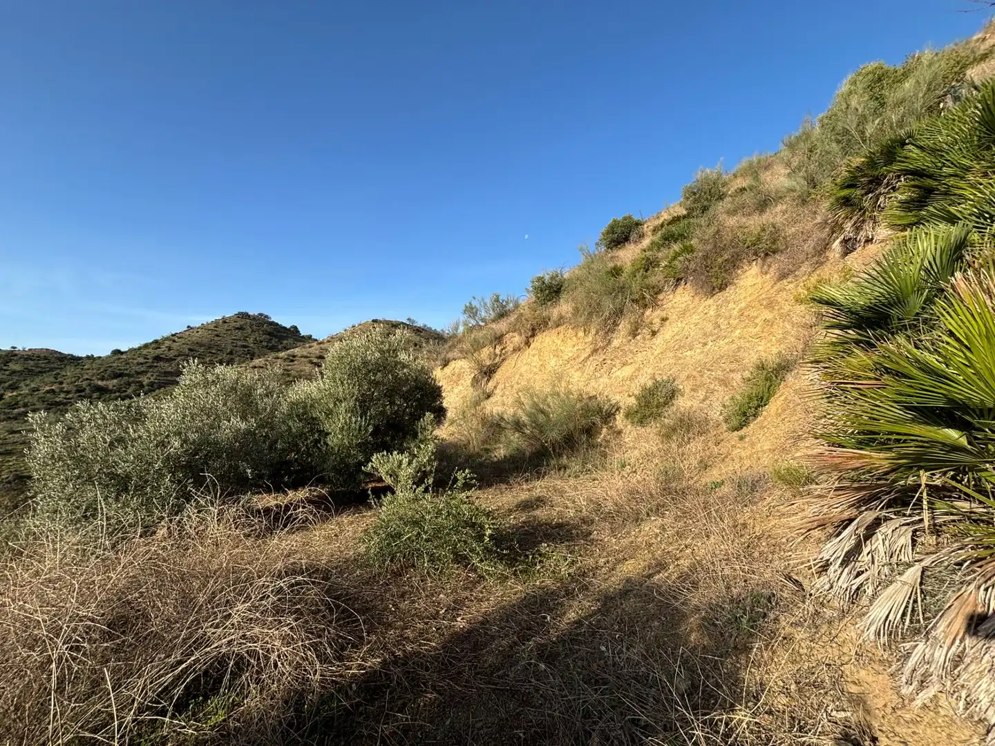 Terreno en venta en Cártama