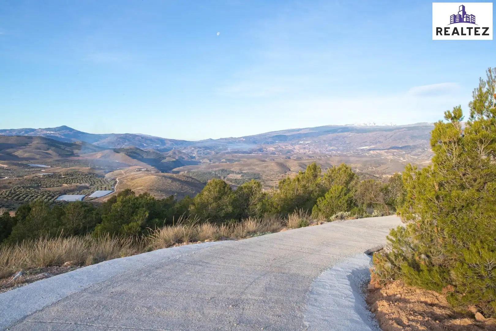 Terrain rustique à vendre à Alcolea, imagen 12