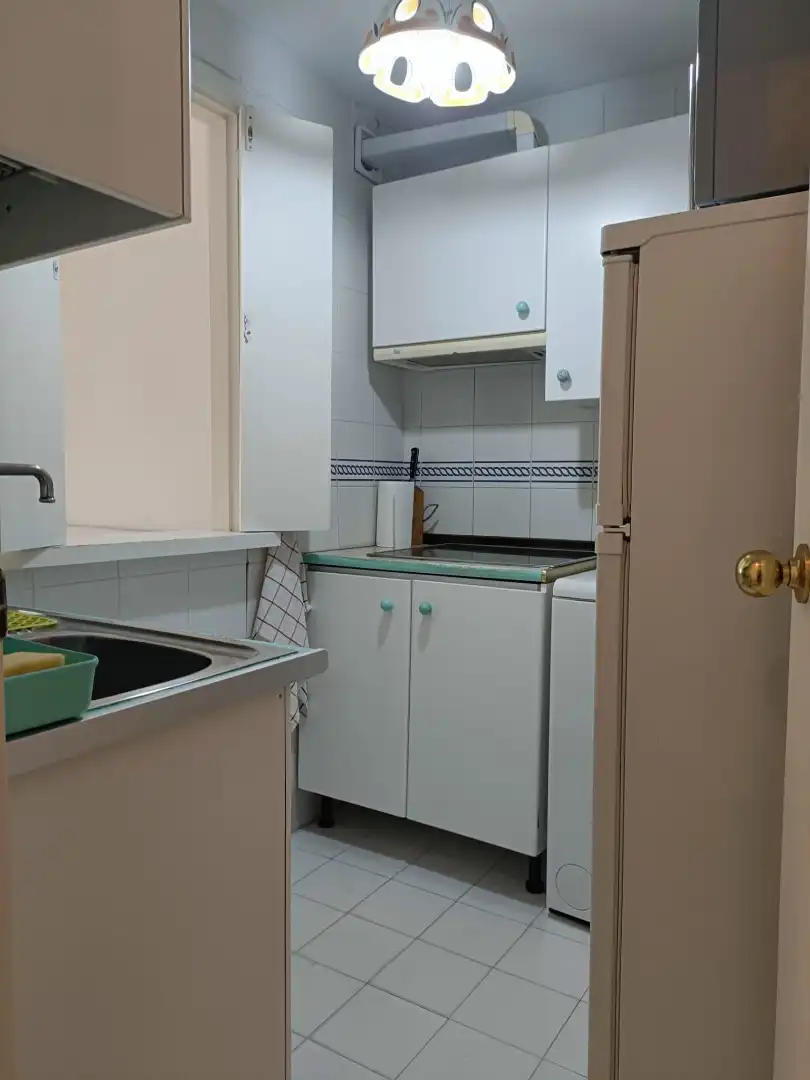 Apartament amb ascensor de lloguer a Paseo Miguel Unamuno, imagen 8