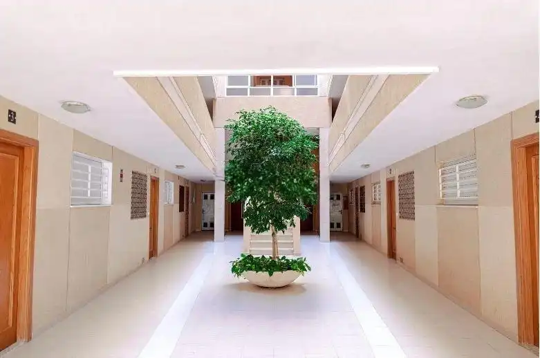Pis en venda en Elche / Elx amb Aire condicionat, Jardí privat i Terrassa