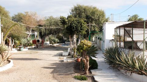 PARCELA EN VENTA (PECHINA), immagine 3