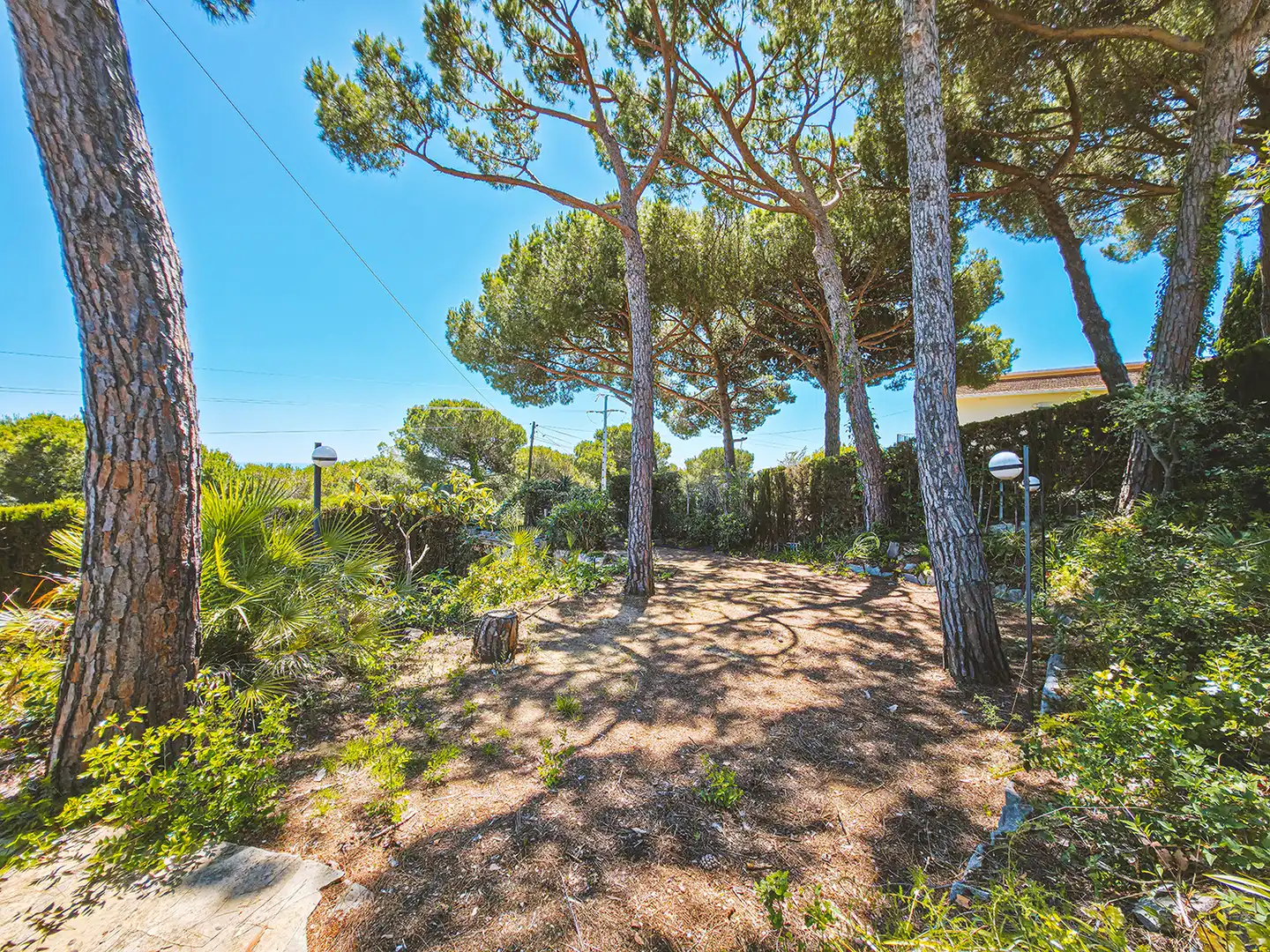 Jardí de Casa o xalet en venda en Sant Pol de Mar amb Calefacció, Jardí privat i Terrassa