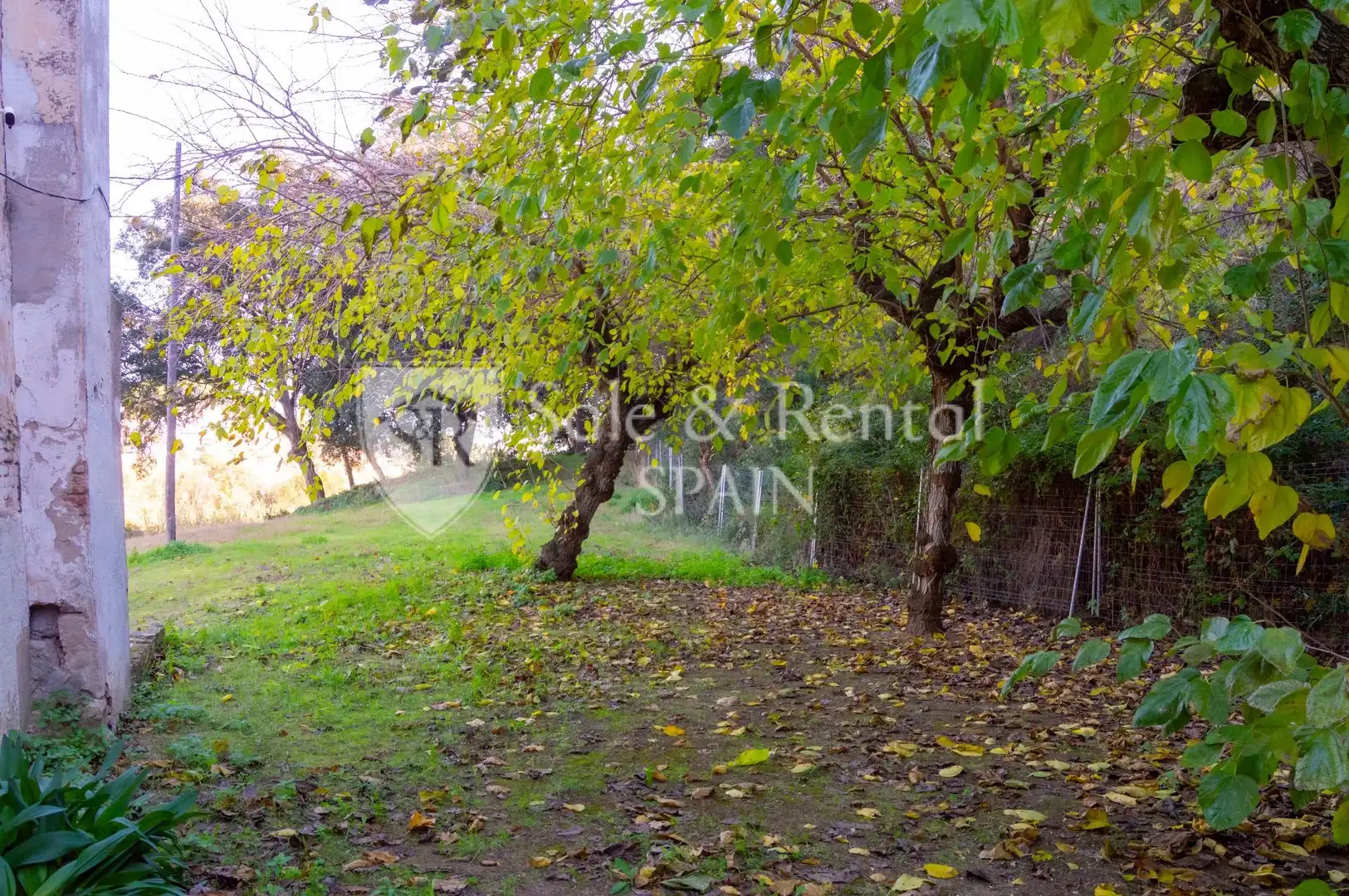 Finca rústica en venda en Sant Pol de Mar amb Jardí privat i Traster