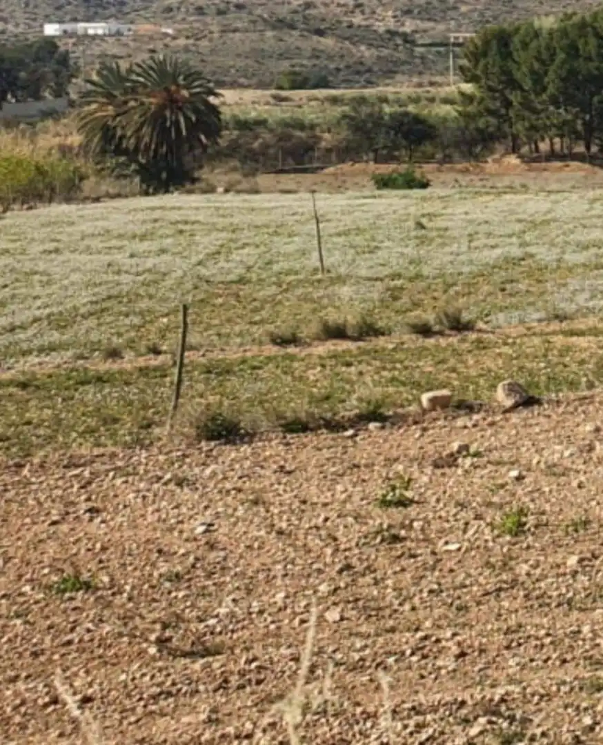 Residential land for sale in Novelda, imagen 4