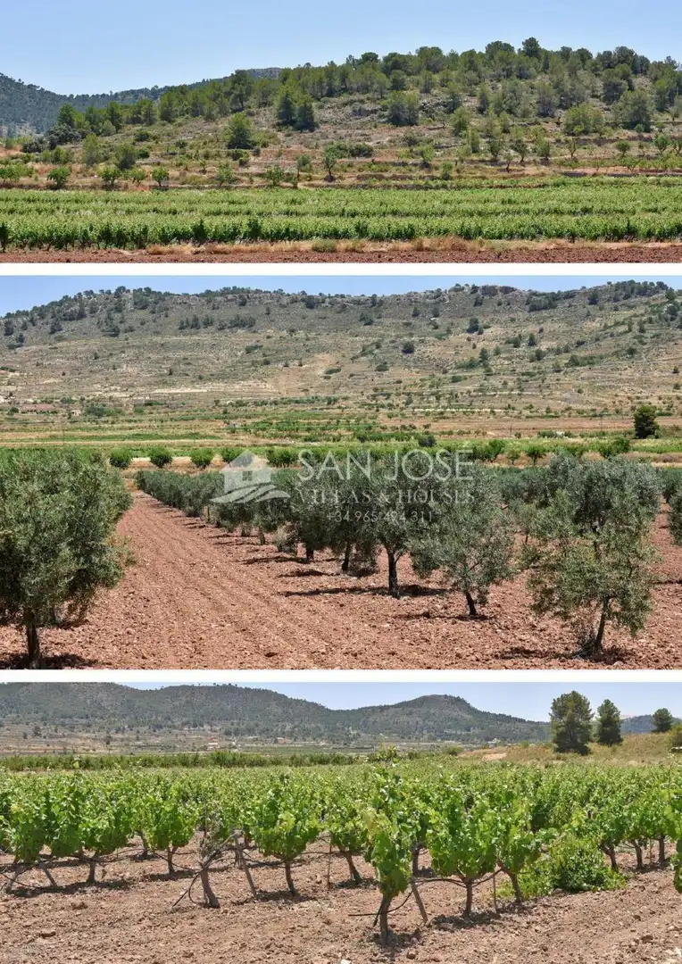 Finca rústica en venta en El Pinós / Pinoso con Jardín privado, Piscina y Amueblado