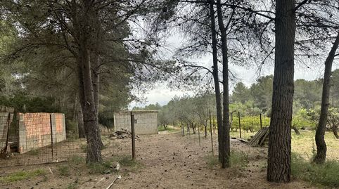 Terreno Rústico en venta en Segorbe., immagine 4